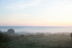 FPF_Hoelleberg2023_002