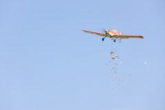 Flugplatzfest Hölleberg 2023