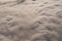 FPF_Hoelleberg2023_122