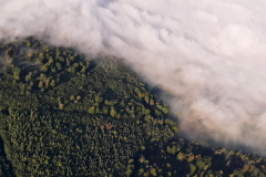 FPF_Hoelleberg2023_123