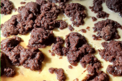 FPF_Hoelleberg2023_126