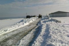 2010_0220Ferienbilder0002