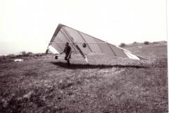 Drachenflieger-Walter